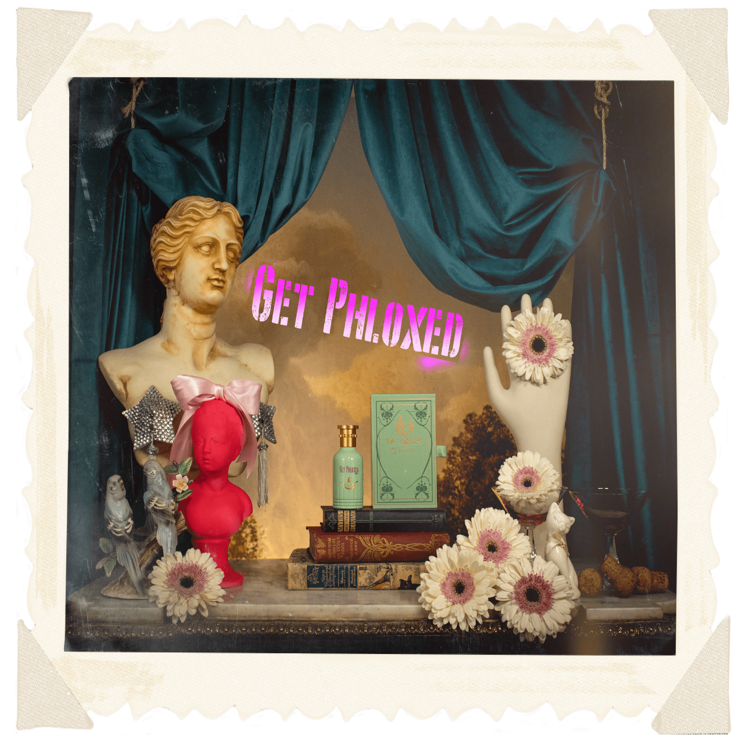 get phloxed