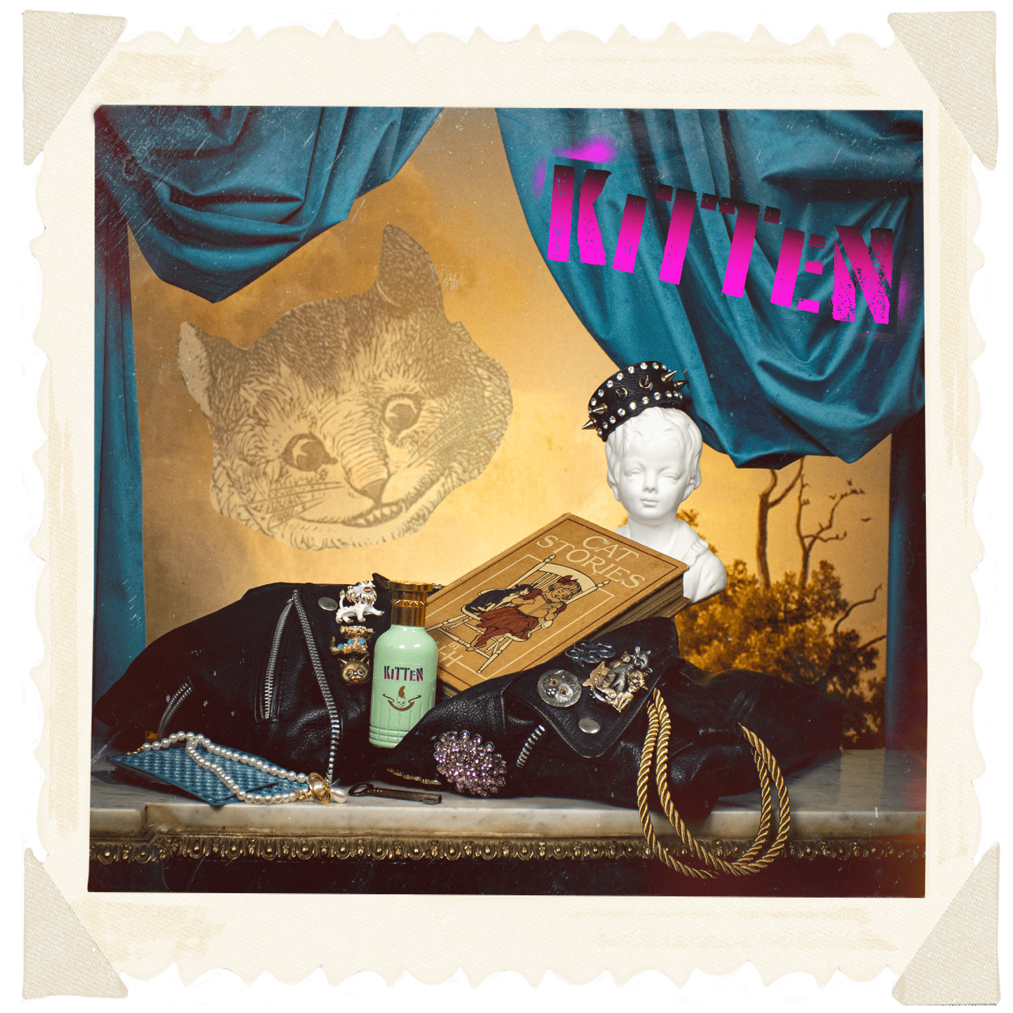 kitten - emanuel new york
