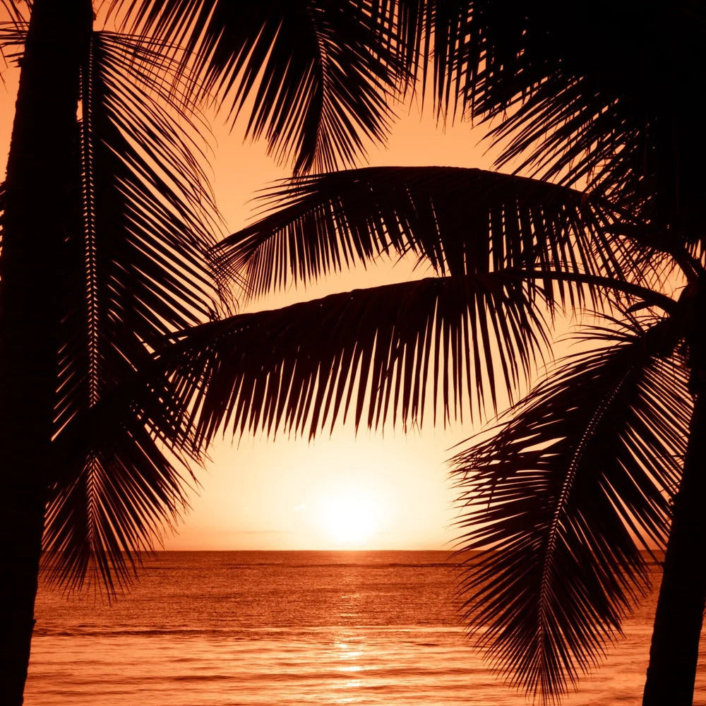 siesta sunset