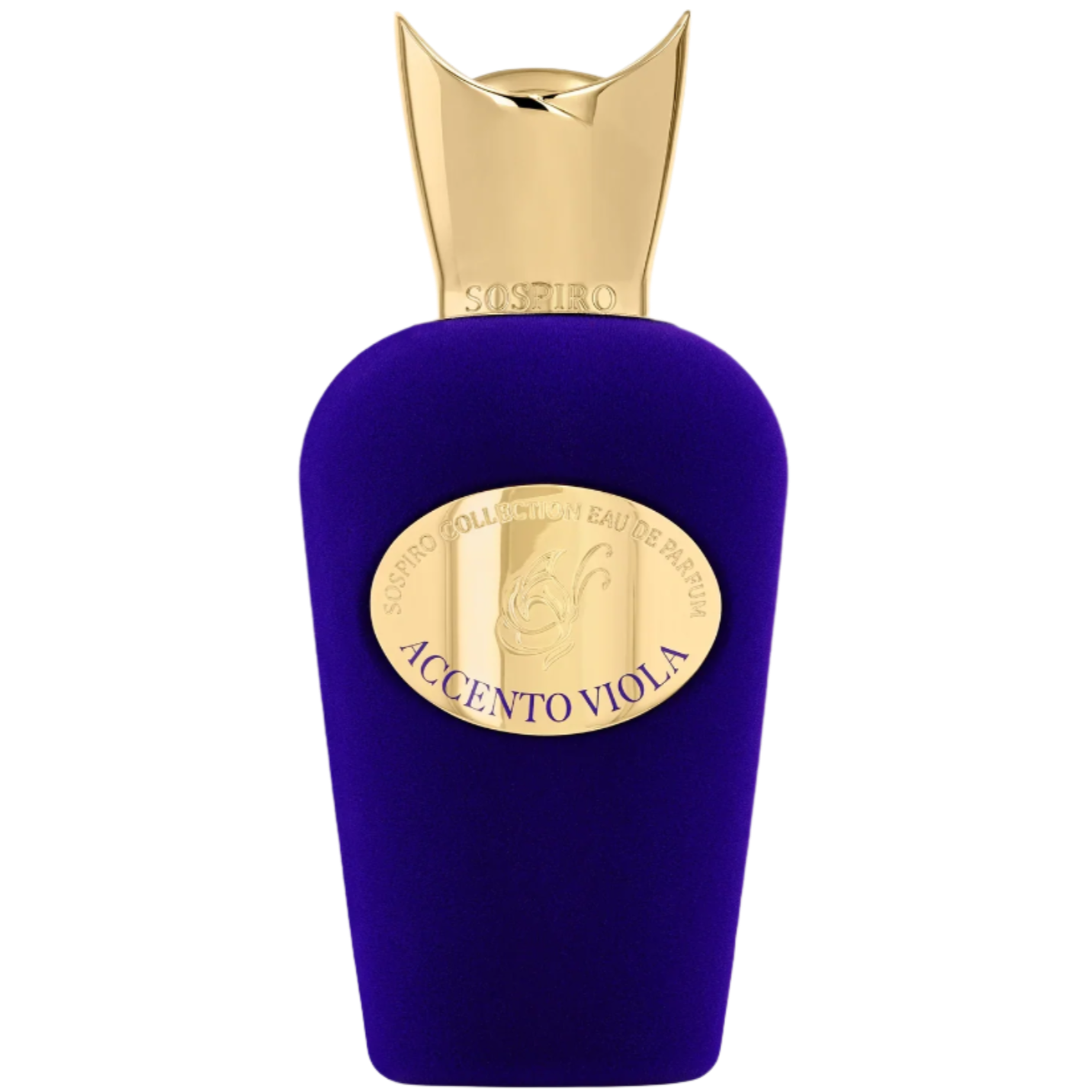 accento viola