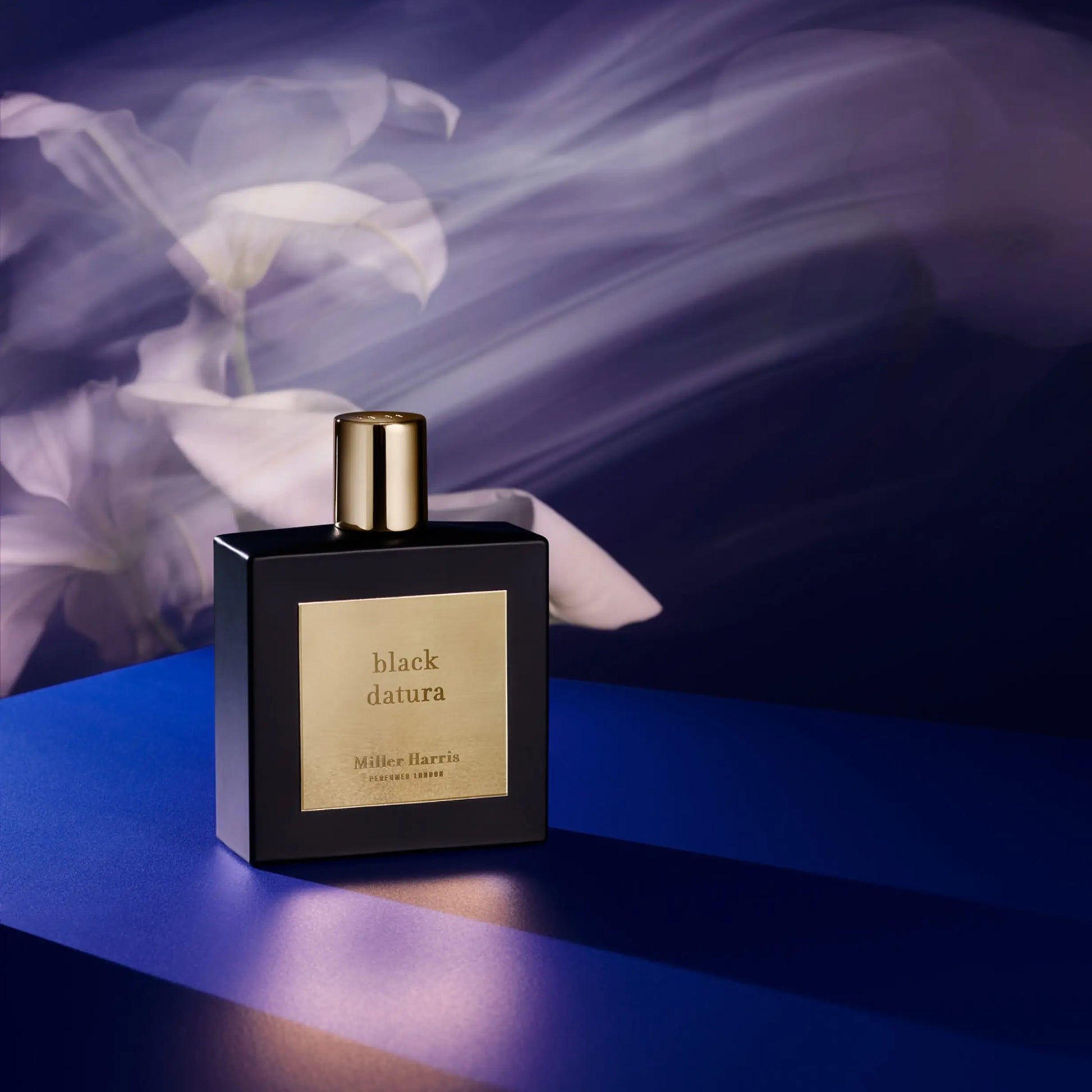 black datura - emanuel new york