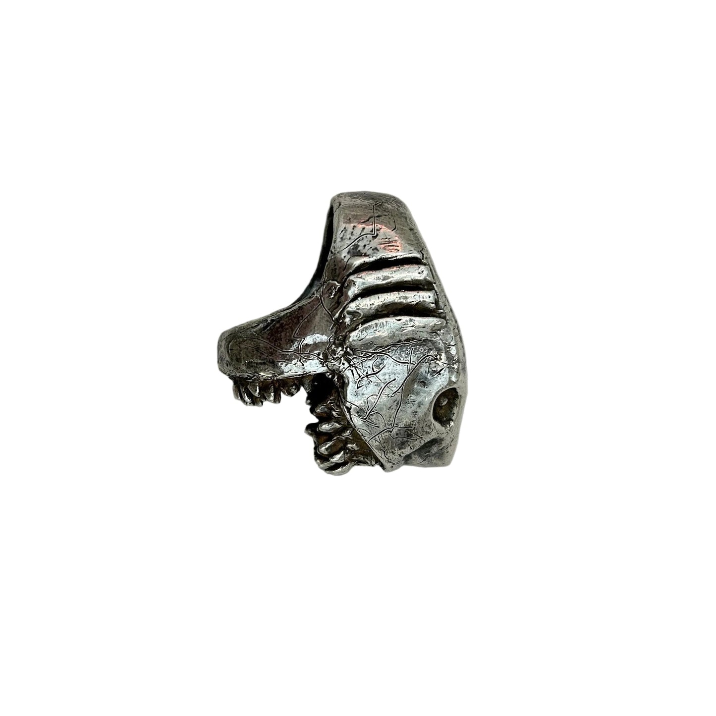 shark rio ring