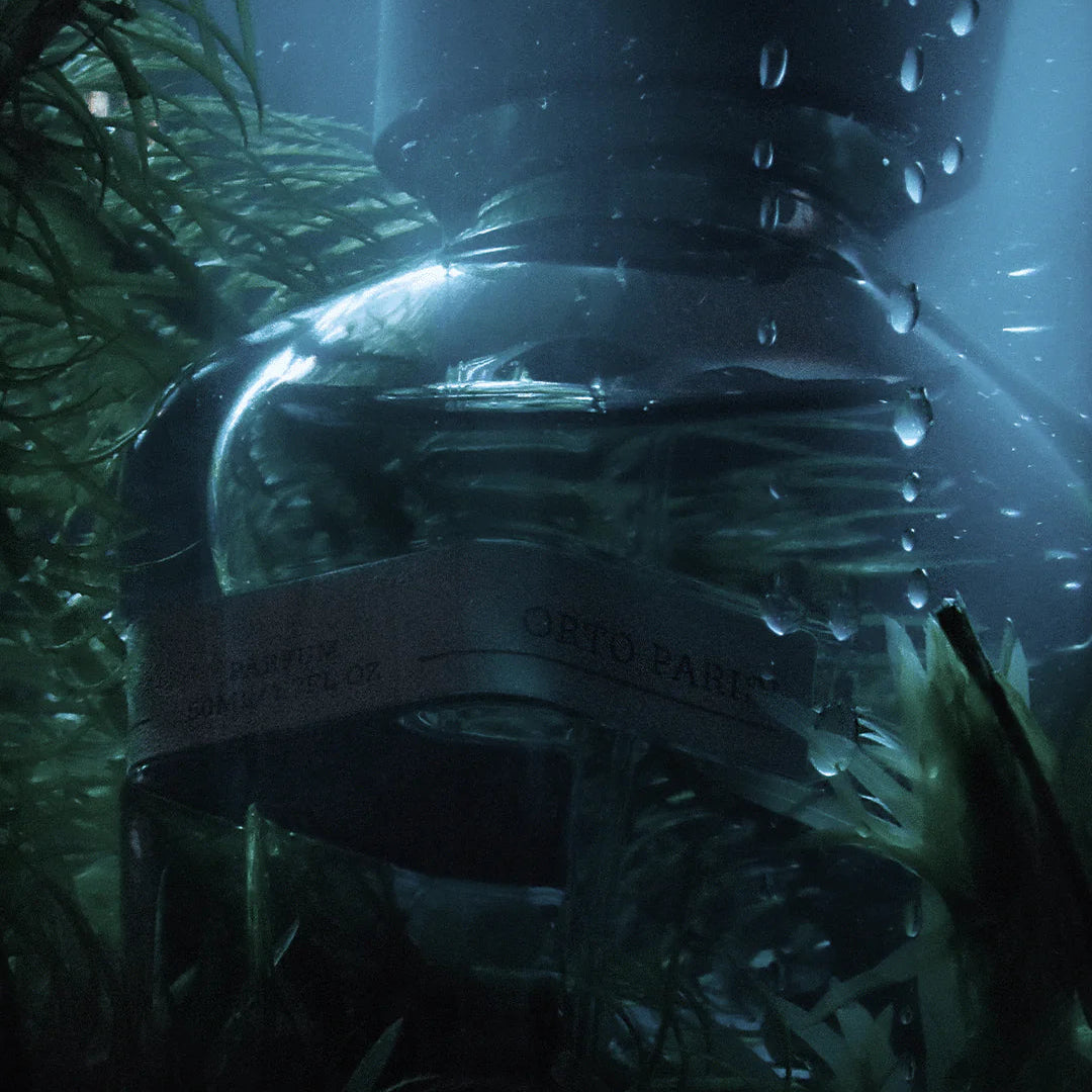 megamare - emanuel new york