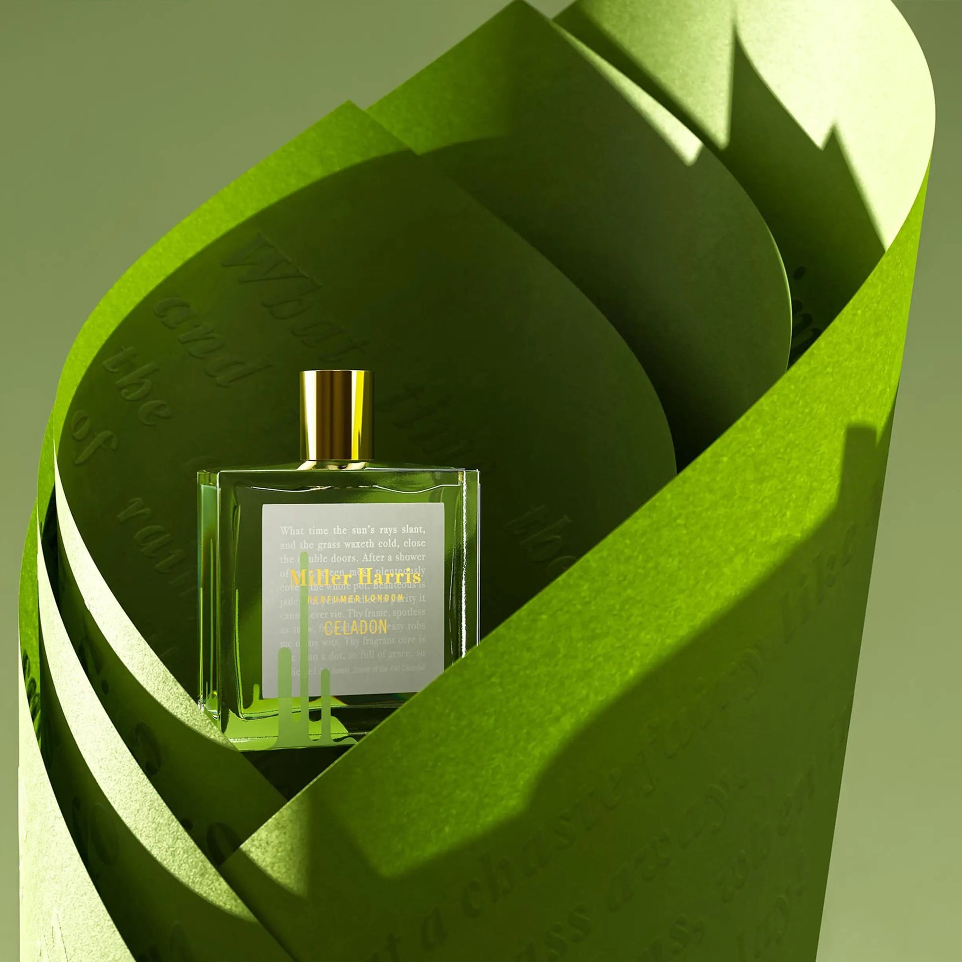 celadon - emanuel new york