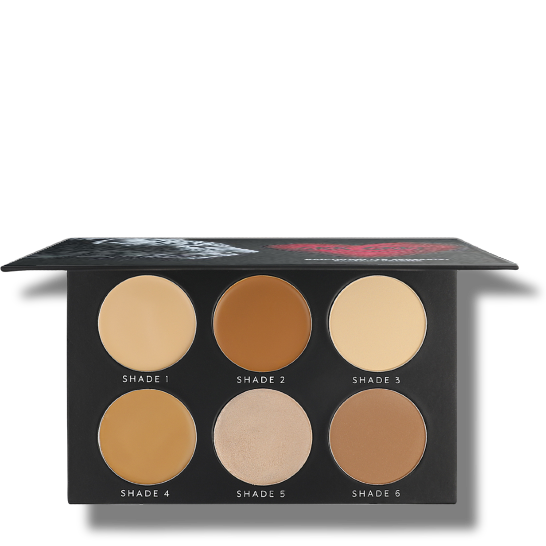 WATERPROOF PRO CONCEALER & CONTOUR PALLET - emanuel new york