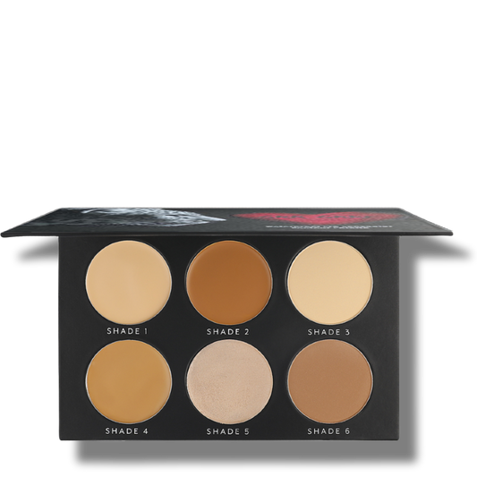 WATERPROOF PRO CONCEALER & CONTOUR PALLET - emanuel new york