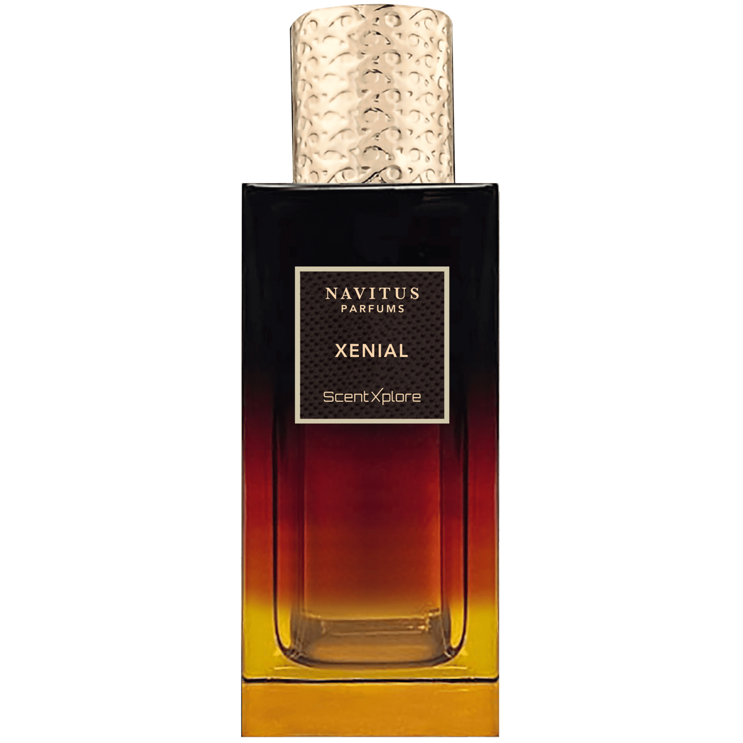 xenial