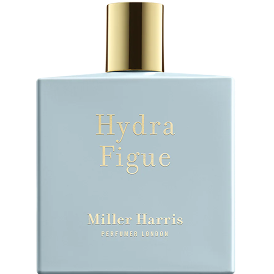 hydra figue