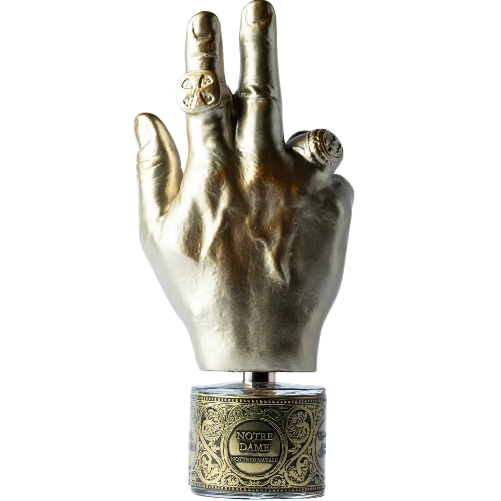 notre dame notte di natale