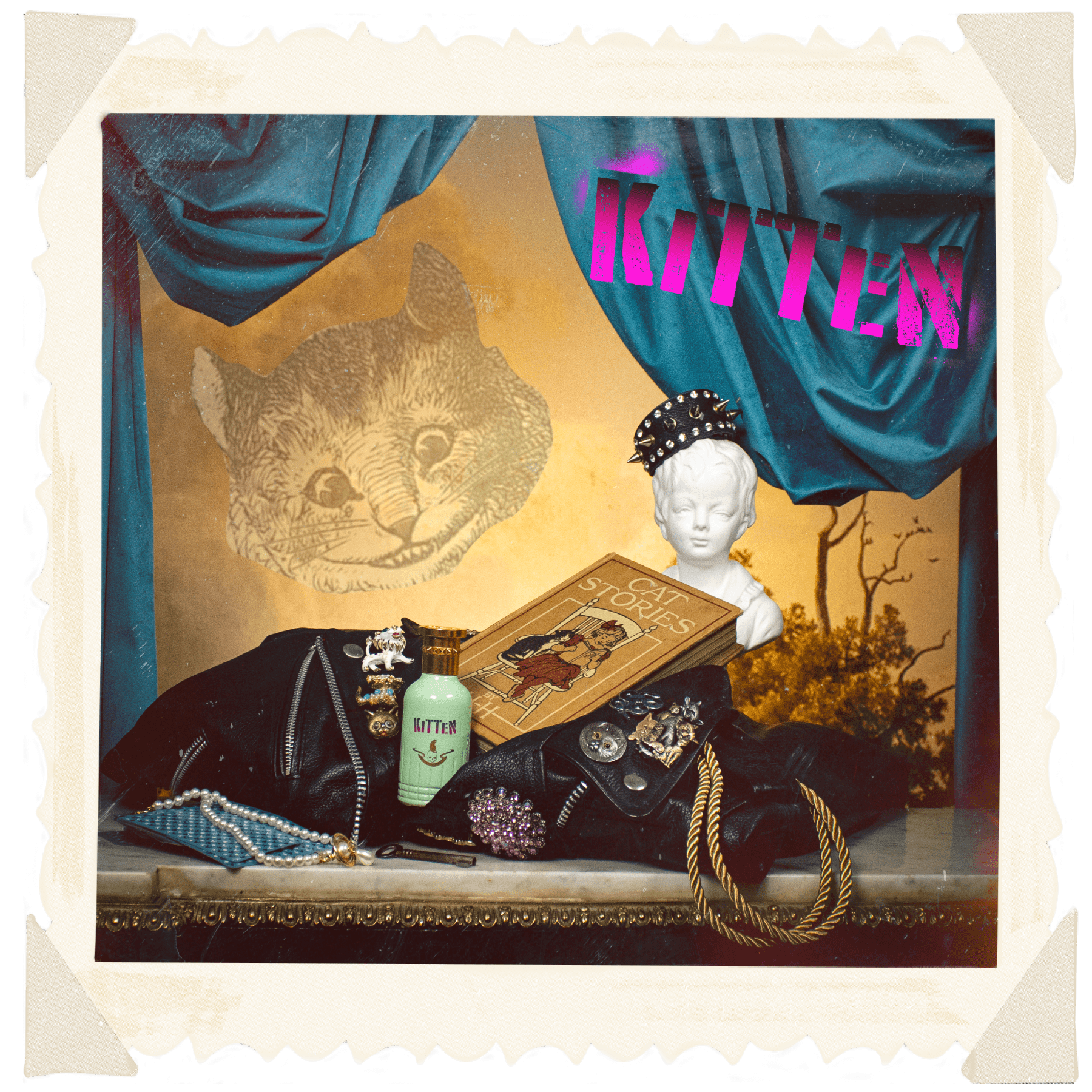 kitten - emanuel new york