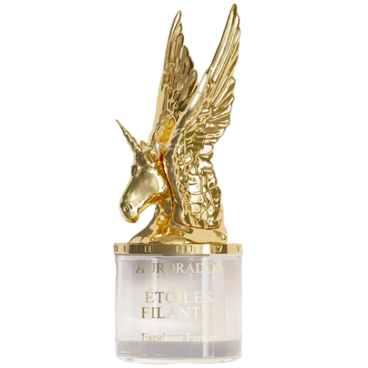 étoiles filantes - emanuel new york