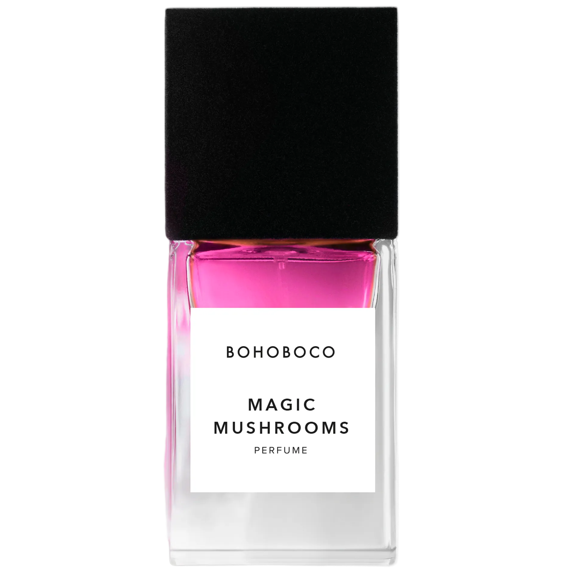 magic mushrooms - emanuel new york