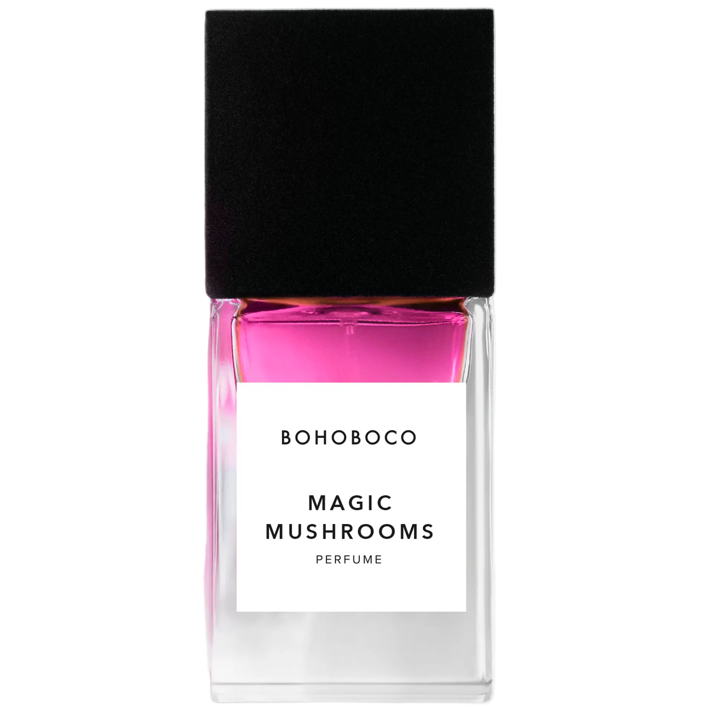 sample magic mushrooms