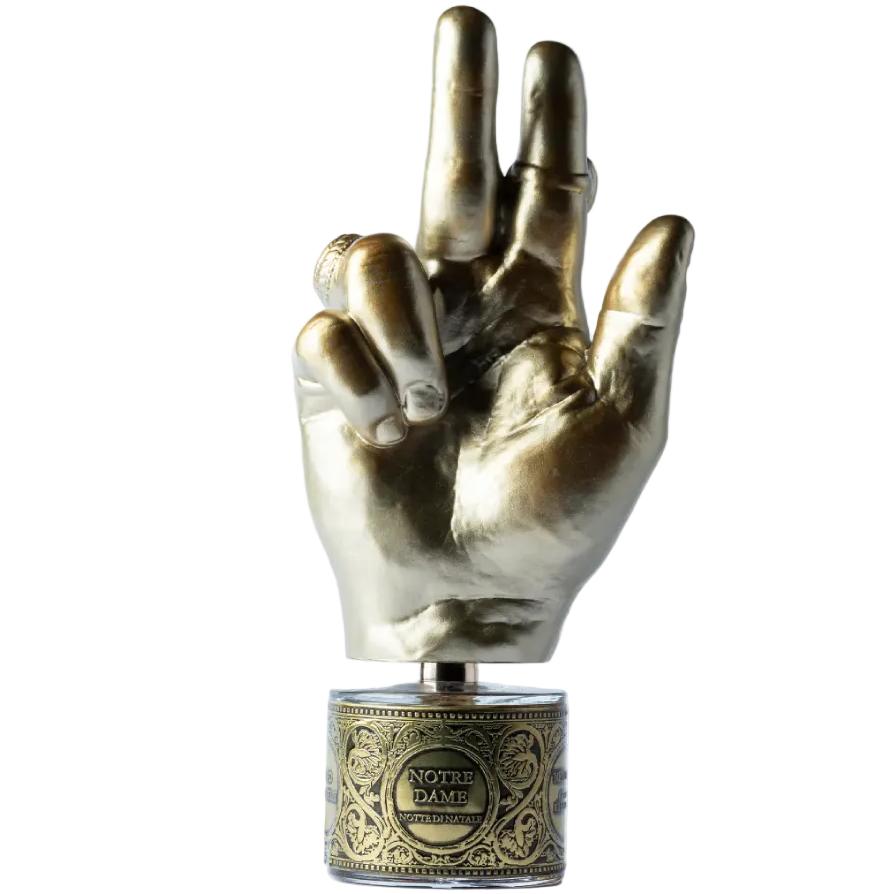 notre dame notte di natale