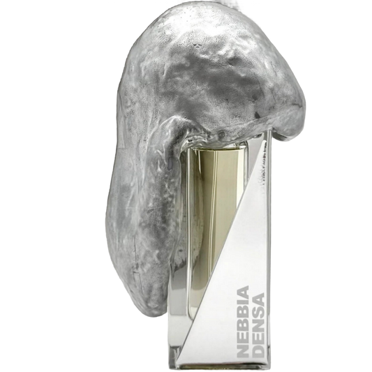 nebbia densa