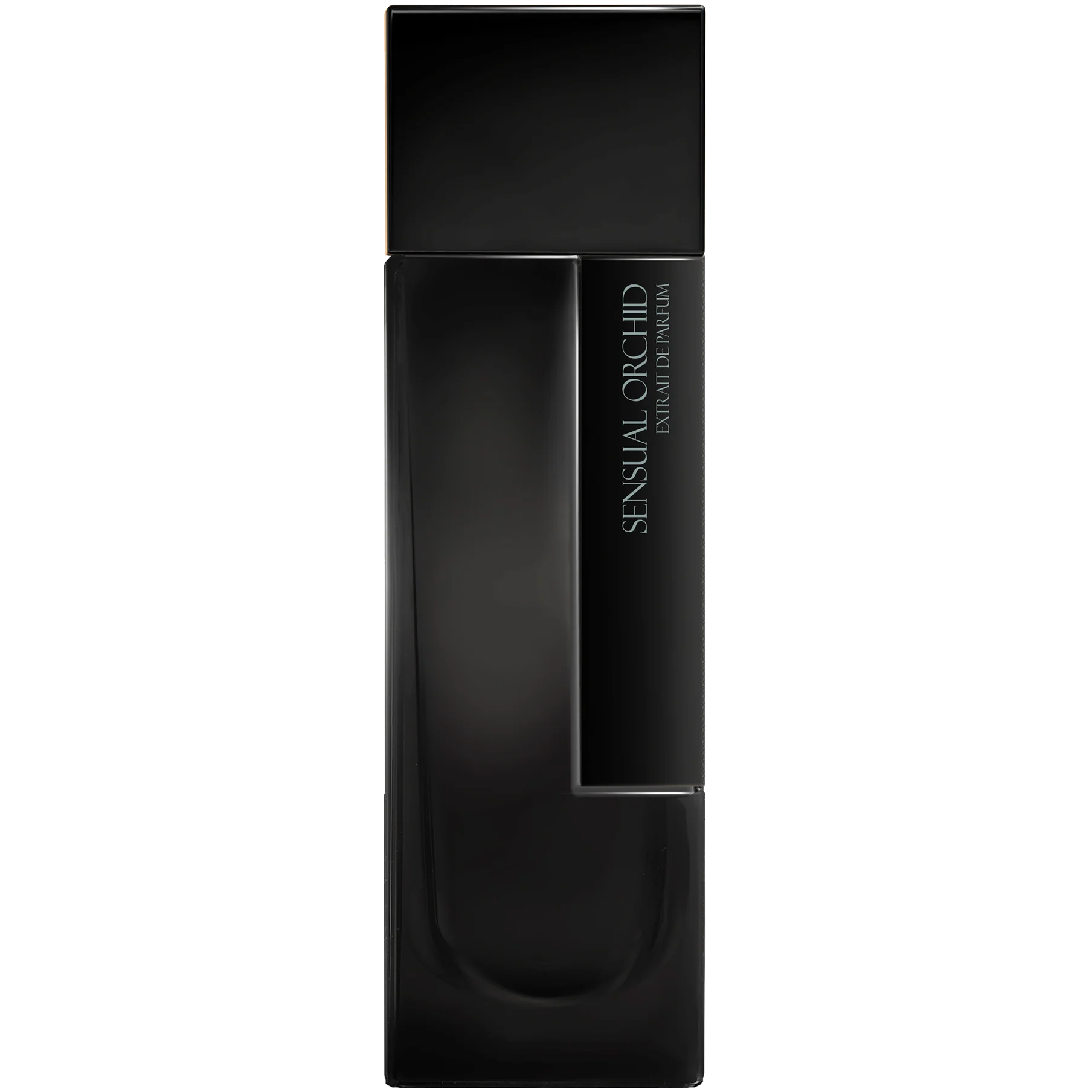 Black perfume bottle with 'sensual Orchid' text on a white background