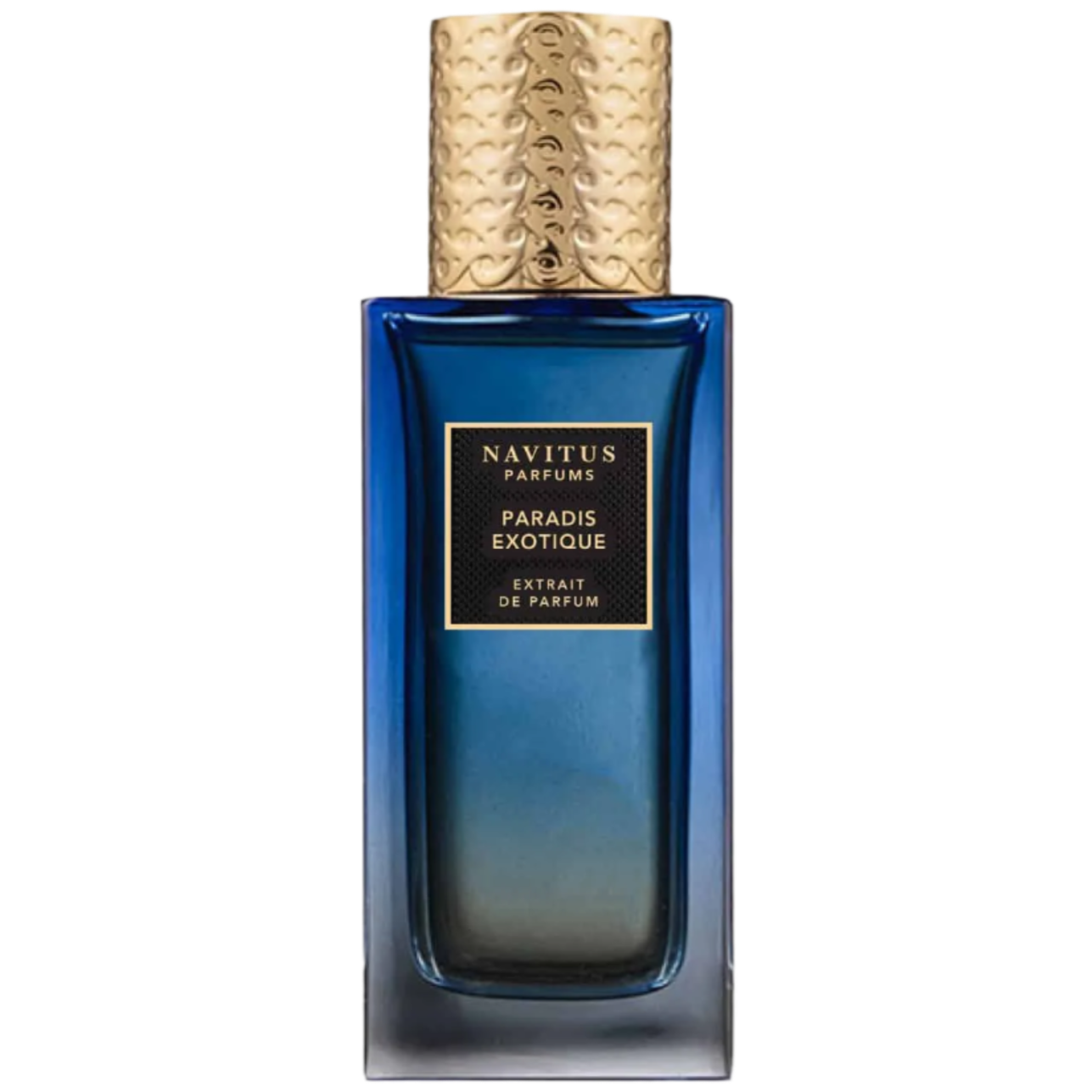 sample paradis exotique