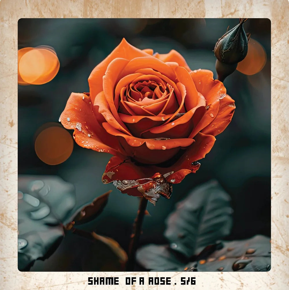 shame of a rose.5/6