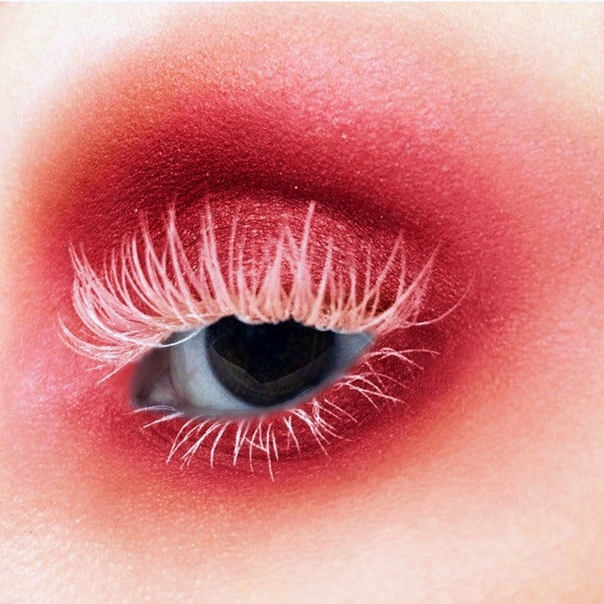 eye blush colour in sanguine - emanuel new york