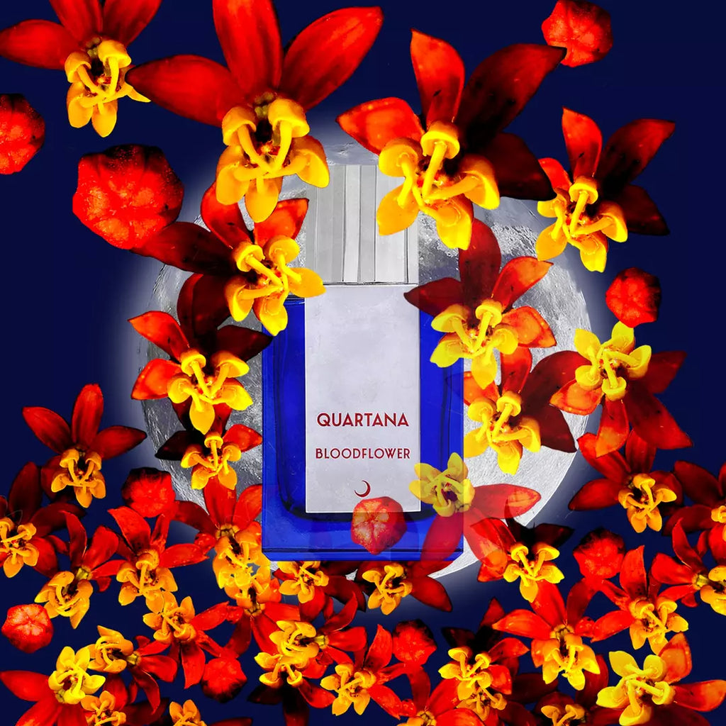 bloodflower